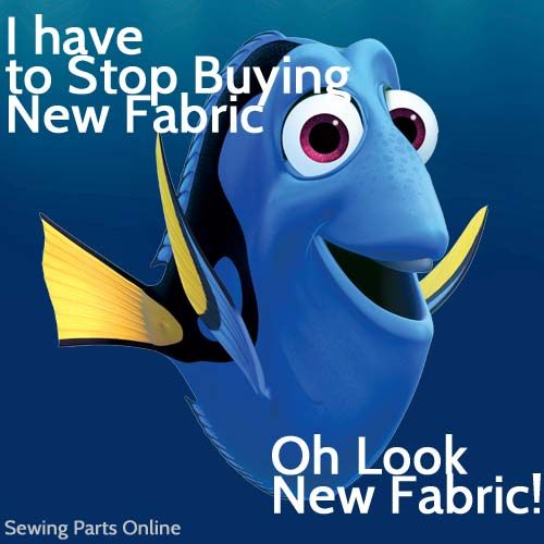 Dory Fabric Meme