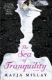 the sea of tranquility
