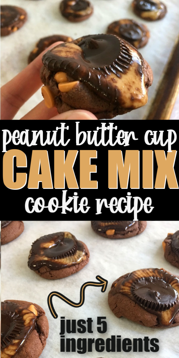 Peanut Butter Cup Stuffed Chocolate Cake Mix Cookies ⋆ Sugar, Spice and  Glitter