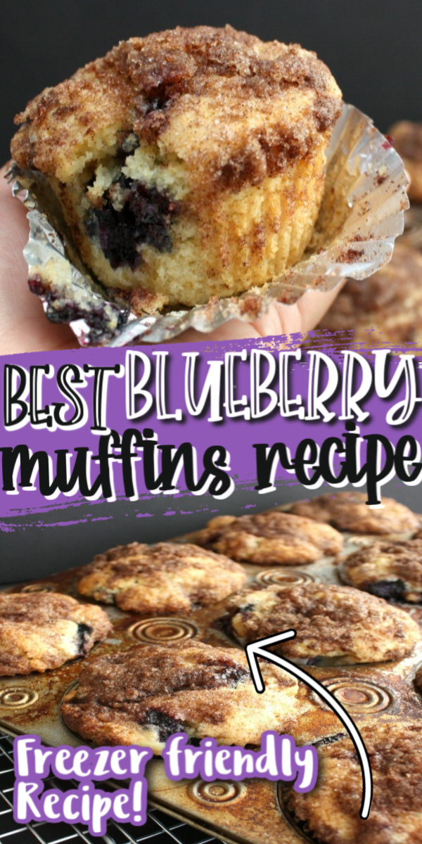 best blueberry muffins recipe with easy streusel topping