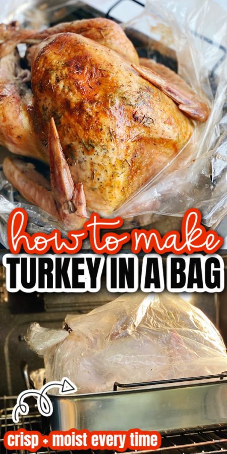 turkey cooked in an oven bag