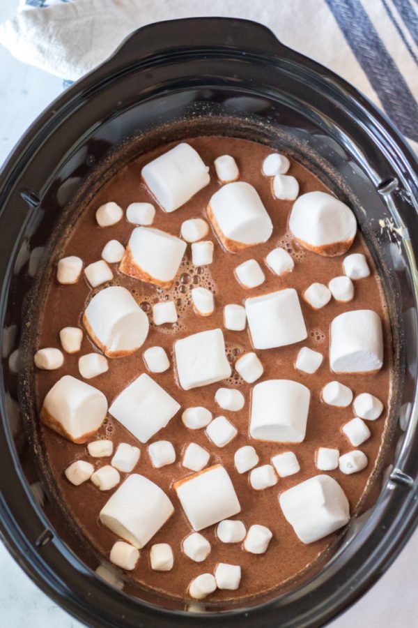 https://www.raegunramblings.com/wp-content/uploads/2021/11/The-best-crockpot-hot-chocolate-recipe-easy-slow-cooker-dessert--600x900.jpg
